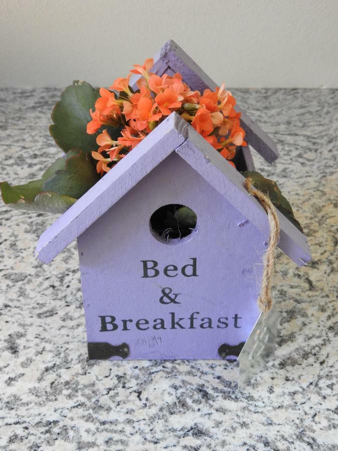 Sweet Home Suite Hallerndorf ภายนอก รูปภาพ